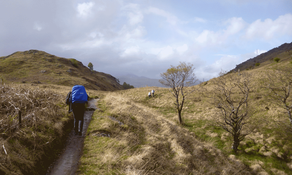 Weg zum Bothy am West Highland Way